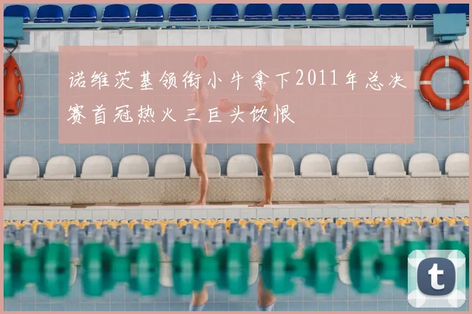 诺维茨基领衔小牛拿下2011年总决赛首冠热火三巨头饮恨