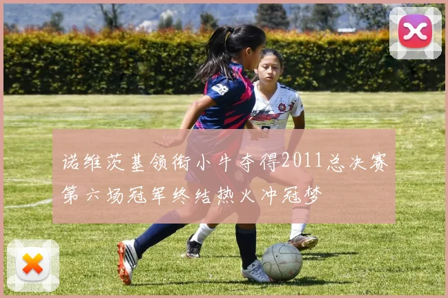 诺维茨基领衔小牛夺得2011总决赛第六场冠军终结热火冲冠梦