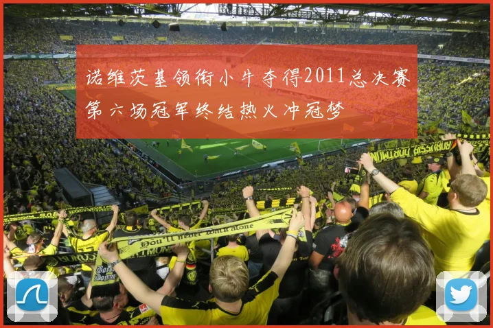 诺维茨基领衔小牛夺得2011总决赛第六场冠军终结热火冲冠梦