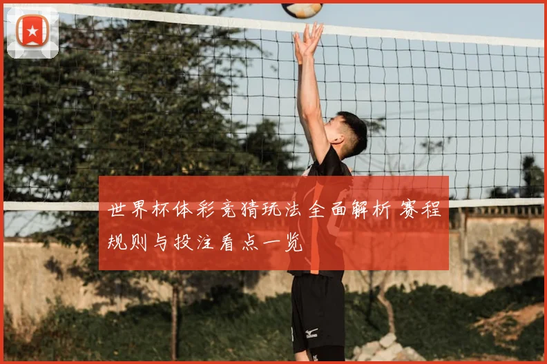 世界杯体彩竞猜玩法全面解析 赛程规则与投注看点一览
