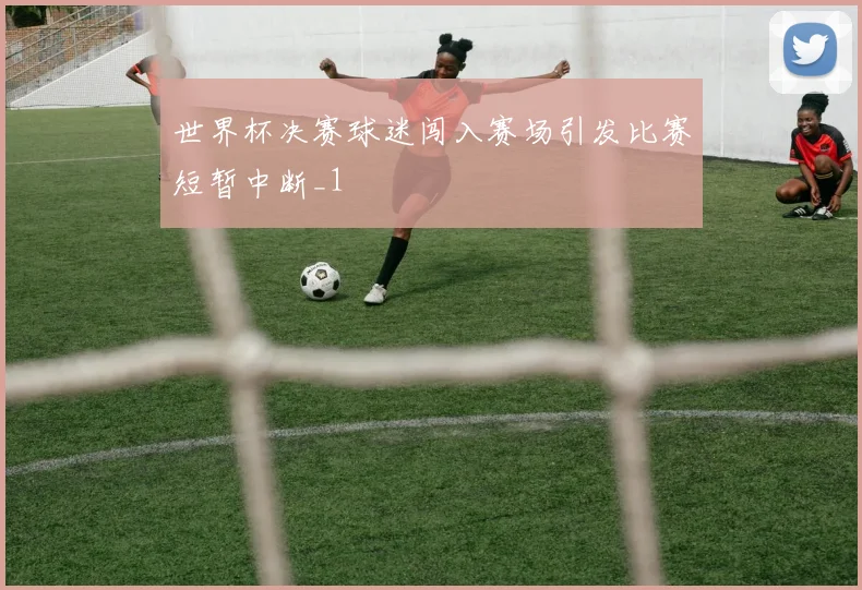 世界杯决赛球迷闯入赛场引发比赛短暂中断_1