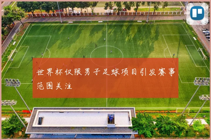 世界杯仅限男子足球项目引发赛事范围关注