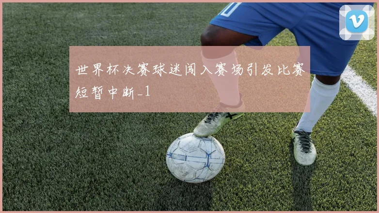 世界杯决赛球迷闯入赛场引发比赛短暂中断_1